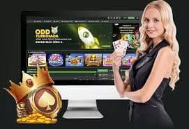 99jili